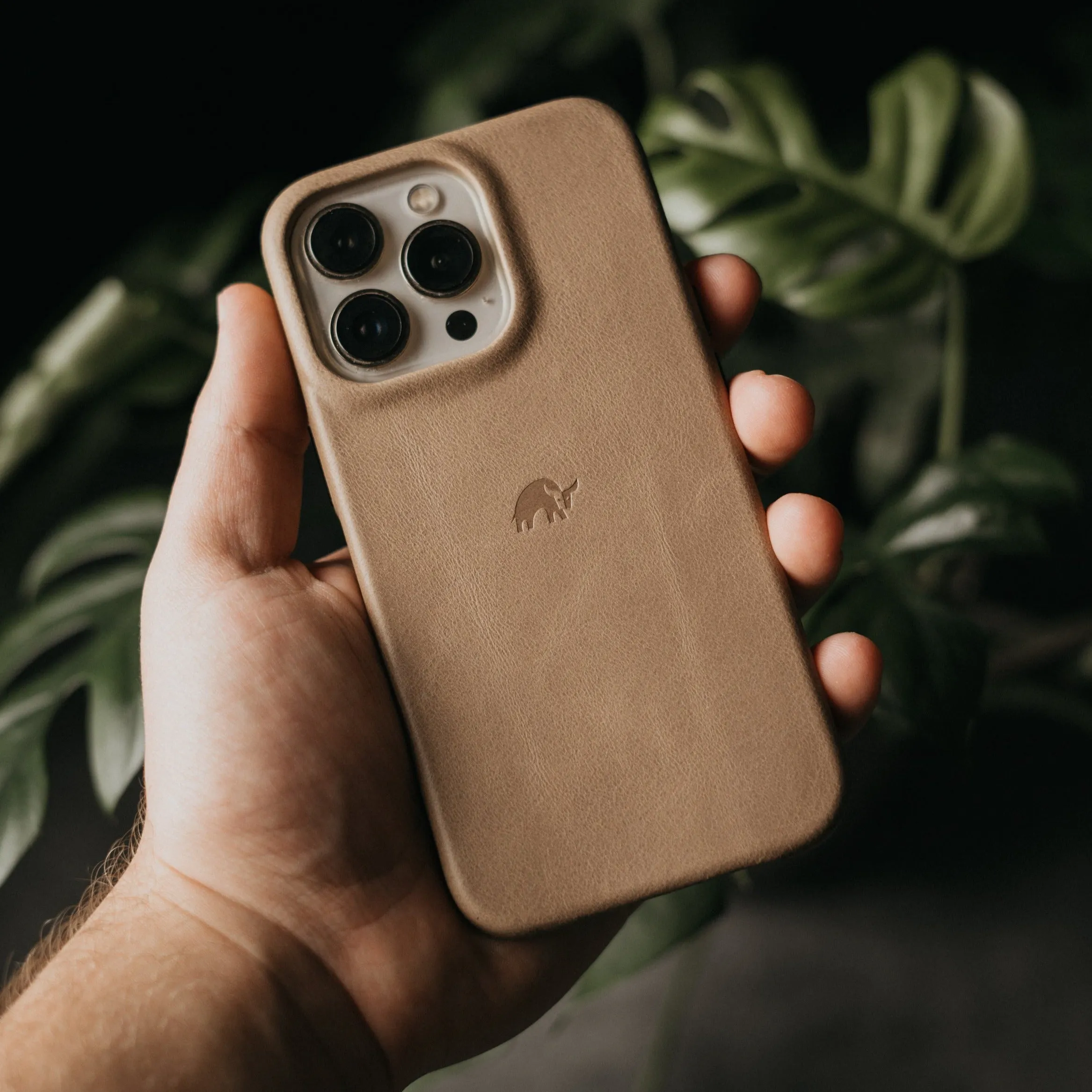 DUNE - The Minimalist Case