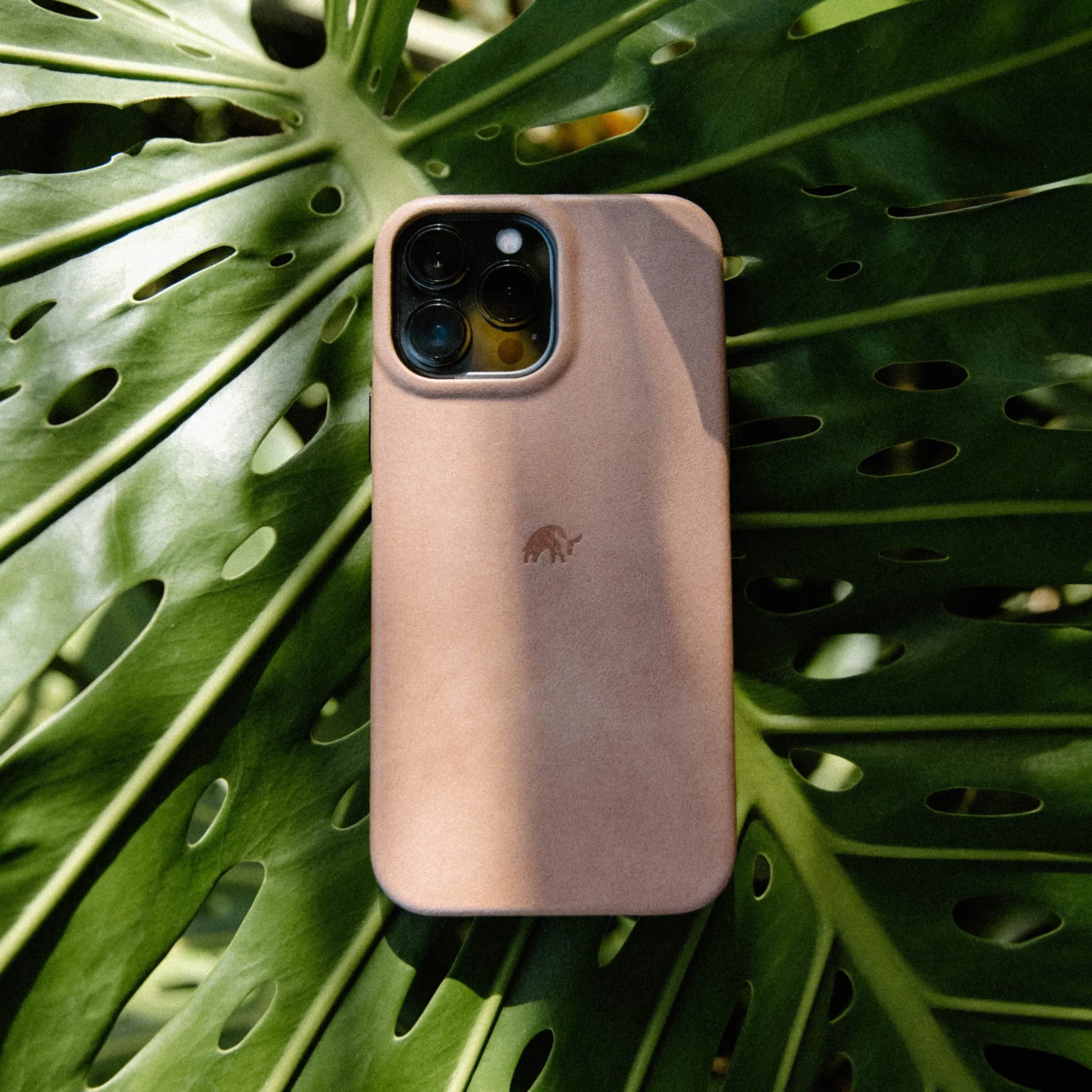 DUNE - The Minimalist Case