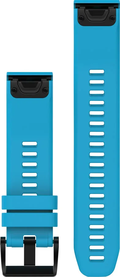 Garmin Quickfit 22