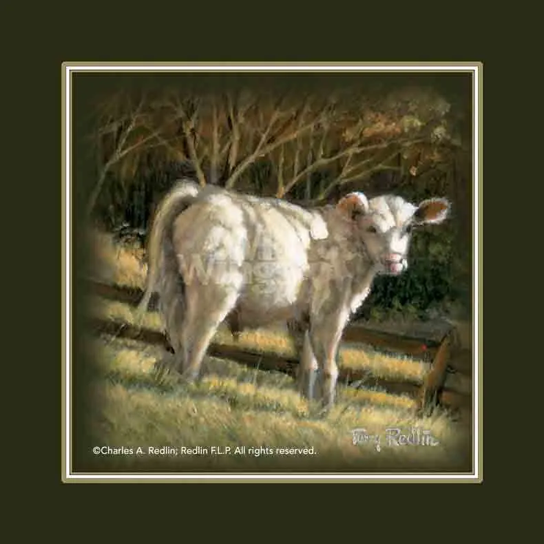 Sunday Morning - Companion Print