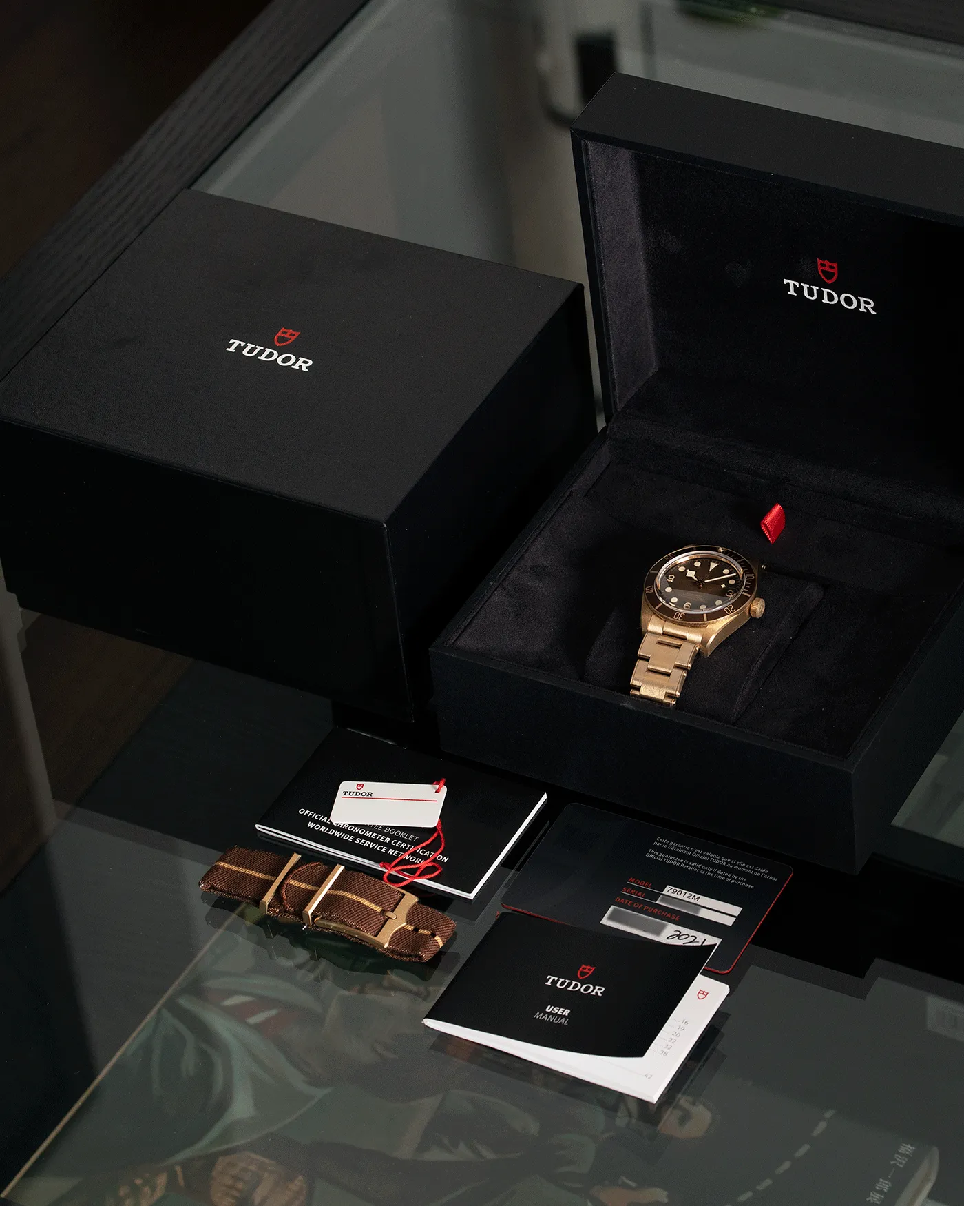 Tudor Black Bay 58 Bronze