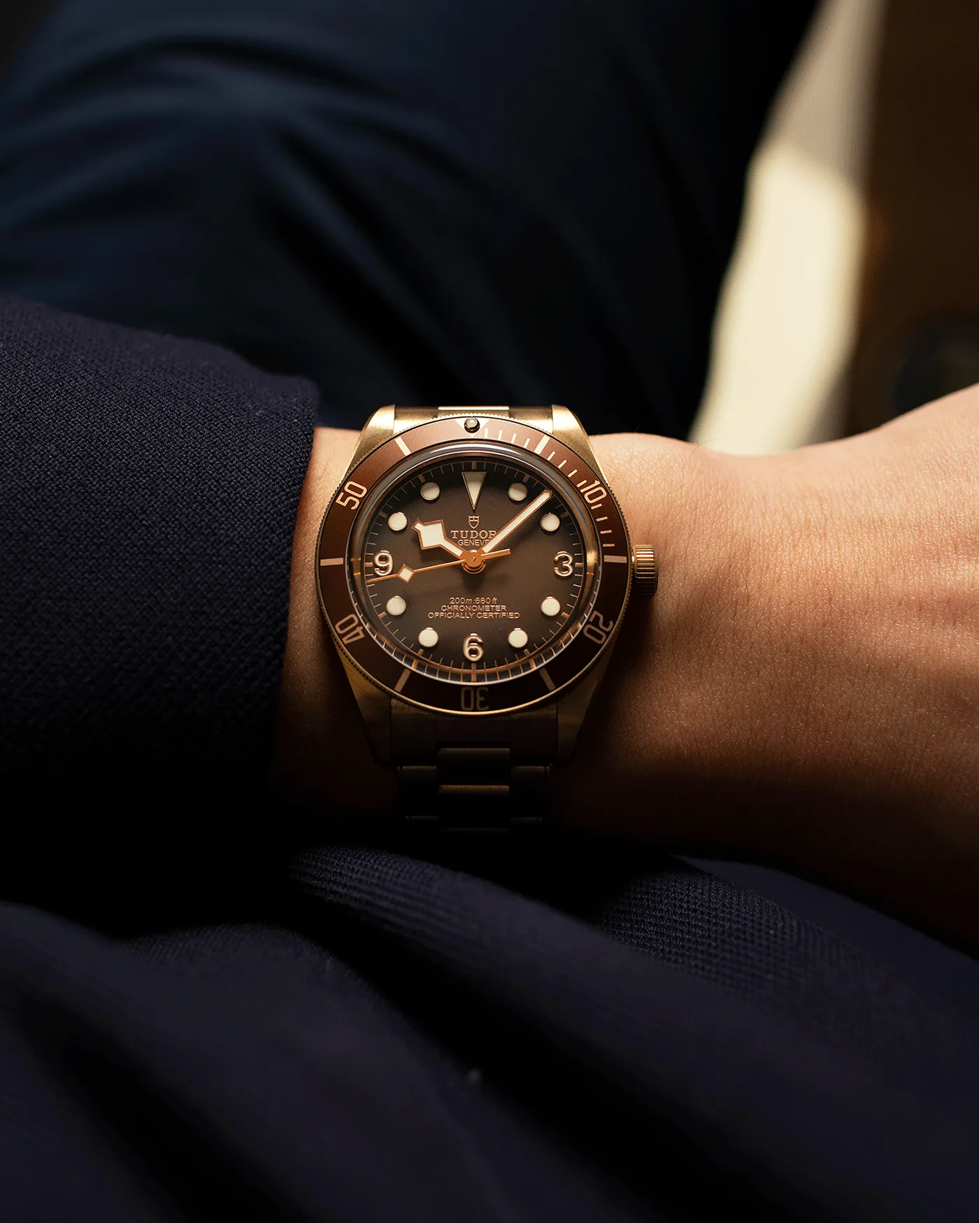 Tudor Black Bay 58 Bronze