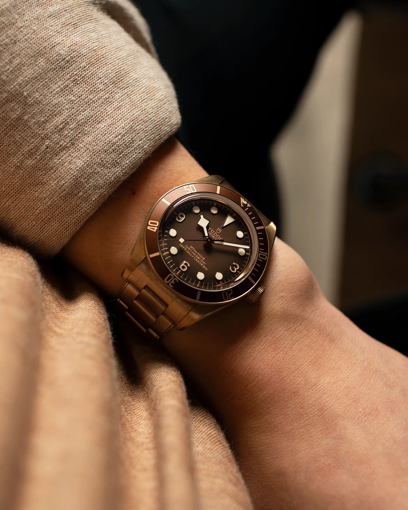 Tudor Black Bay 58 Bronze